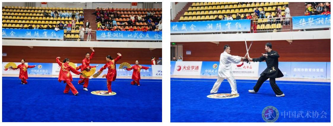 175862777526560.png 175862777526560.png